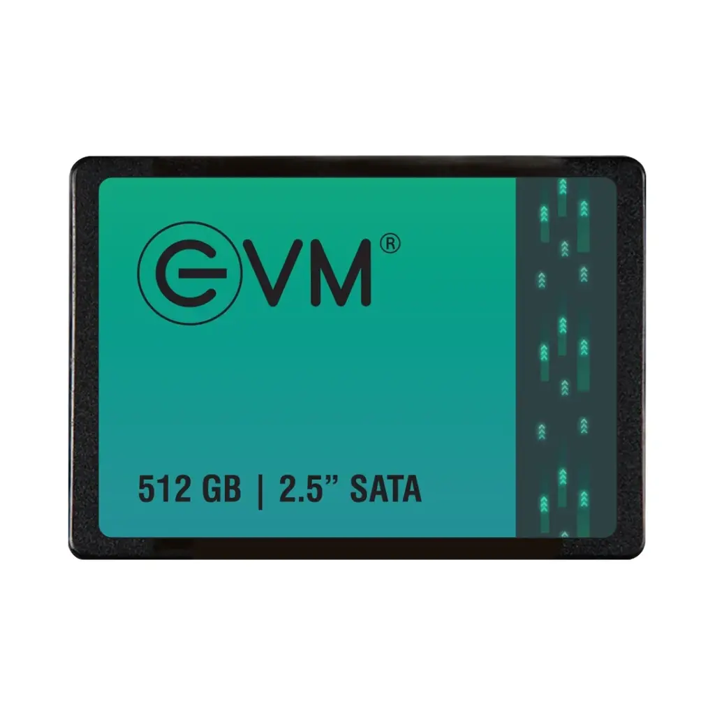 EVM SSD SATA 512GB EVM25/512GB