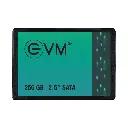 EVM SSD SATA 256GB EVM25/256GB