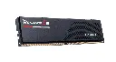 GSkill DDR5 24GB 5200MHz RIPJAWS S5 CL40 F5-5200J4040A24GX1-RS5K 