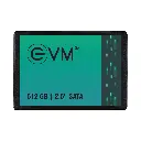 EVM 512GB SATA SSD EVM25/512GB