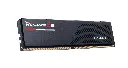 GSkill DDR5 Ripjaws S5 24GB 5200MHz CL40 F5-5200J4040A24GX1-RS5K
