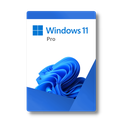 Microsoft Windows 11 Pro OEM