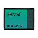 EVM 256GB SATA SSD EVM25/256GB