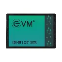 EVM SSD SATA 128GB EVM25/128GB