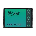 EVM 128GB SATA SSD EVM25/128GB
