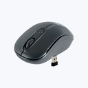 Zebronics Mouse Wireless Dash